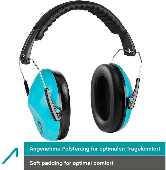 Actual product image Ace Hearing protection (1 x)