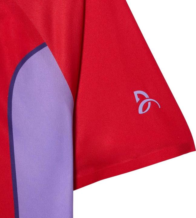 Image du produit Lacoste - Polo NOVAK DJOKOVIC - Homme (L)
