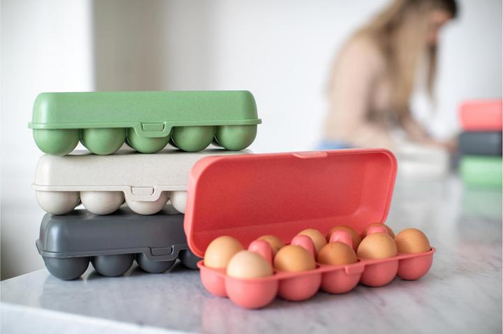 Actual product image Koziol Egg box (2.69 l)