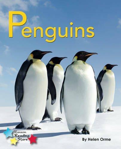 Immagine prodotto Penguins (Inglese, Orme Helen, 2019)