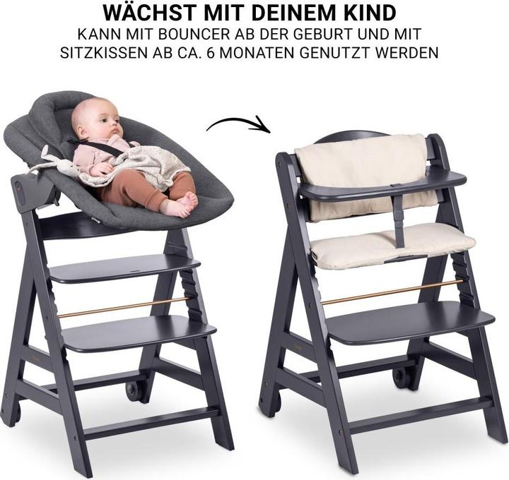 Actual product image Hauck Beta Plus Set Premium (Highchair)