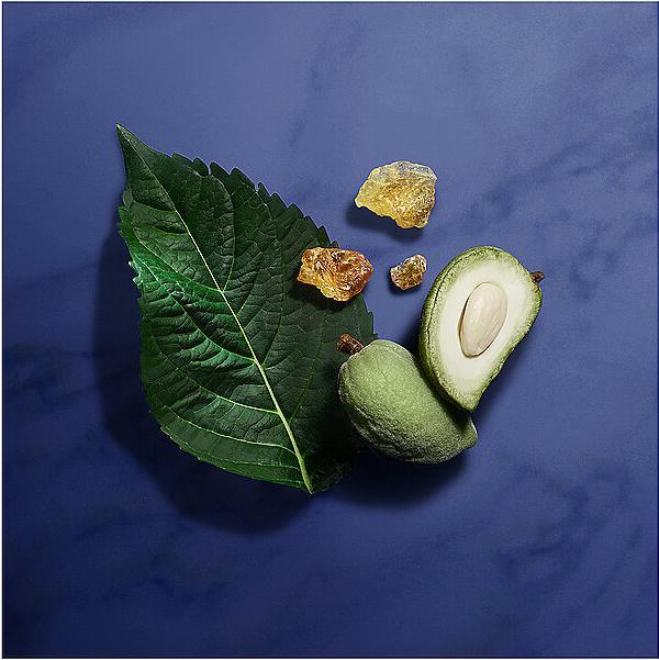 Image du produit Giorgio Armani Privé Indigo Tanzanite Eau de Parfum (Eau de parfum, 100 ml)