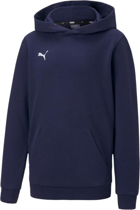 Puma teamGOAL 23 Casuals Hoody Jr-656711