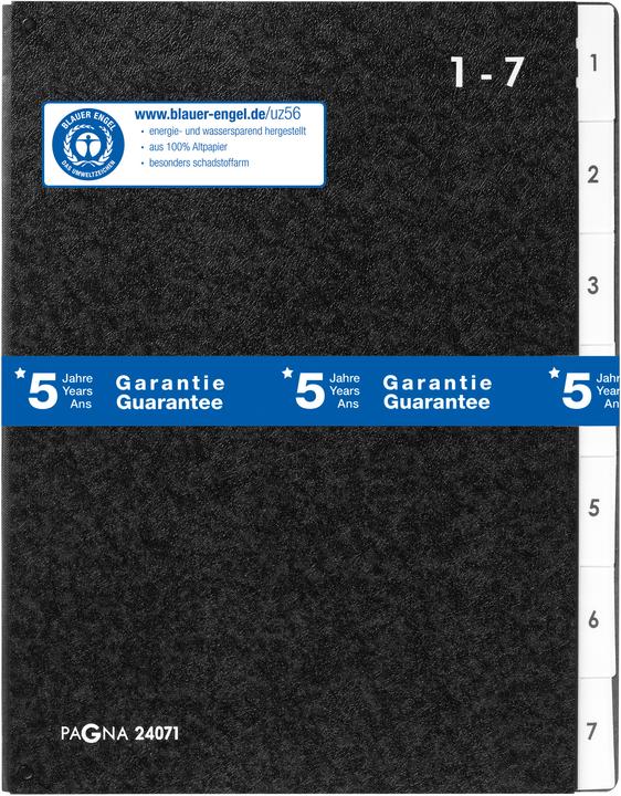 Produktbild Pagna Pultordner (A4, 1 x)