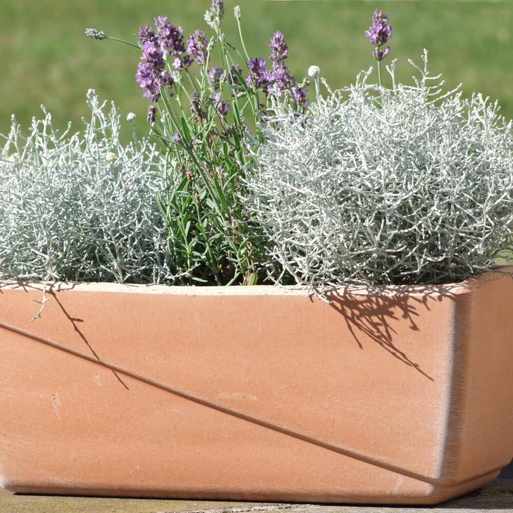 Immagine prodotto Spang Balkonkasten Line antik 30 x 19 x 16 cm mit Loch