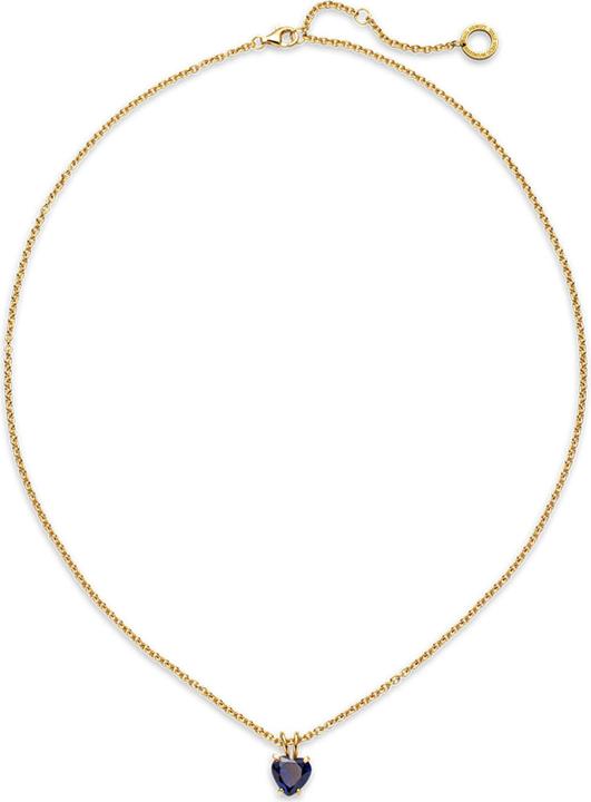 Produktbild Paul Hewitt PH-JE-0148 (Stahl, 45 - 50 cm)
