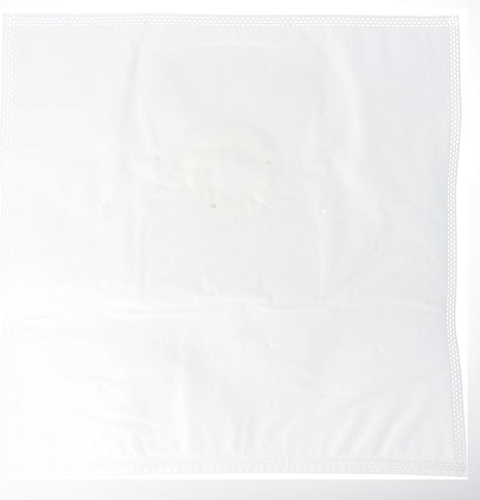 Produktbild AccuCell 10 Staubsaugerbeutel für Staubsauger Vorwerk Tiger (10 x)