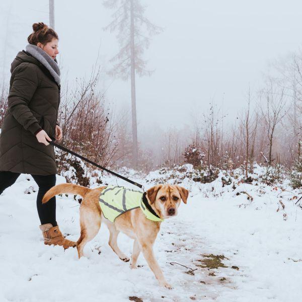 Produktbild Hunter Warnweste reflektierend (L, Hundemantel)