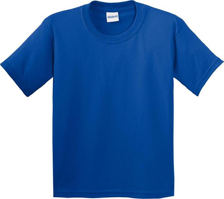 Bleu roi