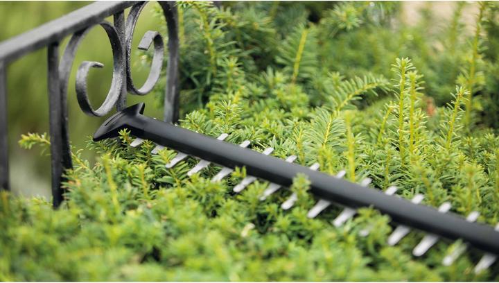 Actual product image Bosch Home & Garden UniversalHedgeCut 50 (Electric hedge trimmer)