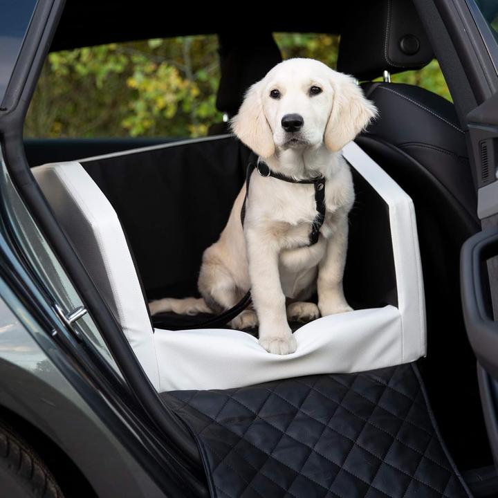Image du produit CopcoPet Hundeautositz (Chien)