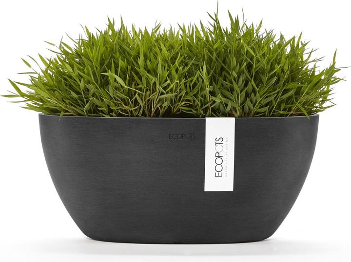 Actual product image Ecopots Sofia (13 cm)