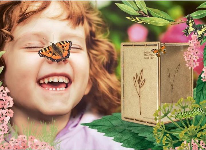 Actual product image Mein Raupenkasten Insect hotel caterpillar box (Butterflies)