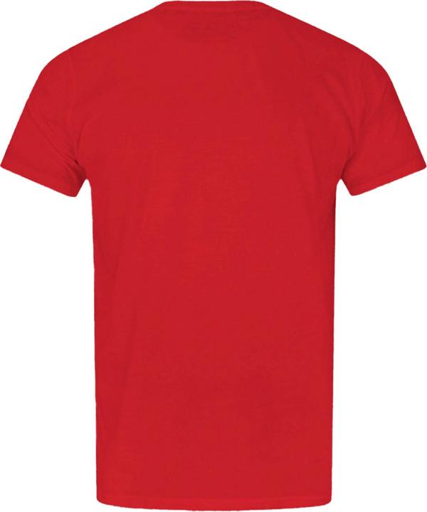 Actual product image Flash Official Boys Distress Logo Tshirt (164)