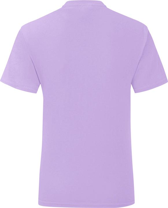 Image du produit Fruit of the Loom T-shirt Iconic (M)