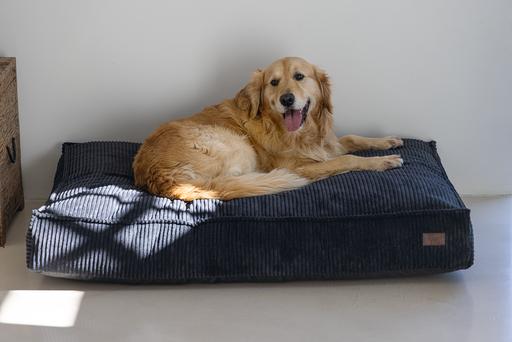Actual product image Designed by Lotte Ribbed Cushion (Dog)