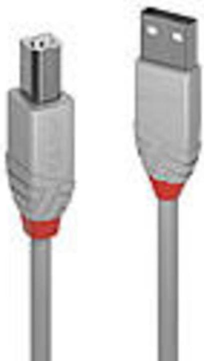 Produktbild Lindy USB/A-USB/B M-M (3 m, USB 2.0)
