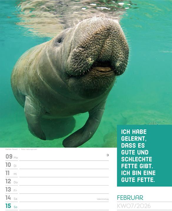 Actual product image Tierisch! Sprüchekalender - Wochenplaner Kalender 2026 (25 x 33 cm, Hardcover, German)