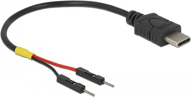 Immagine prodotto Delock Cavo di alimentazione USB tipo-C a 2 x presa di corrente singola 10 cm (0.10 m)