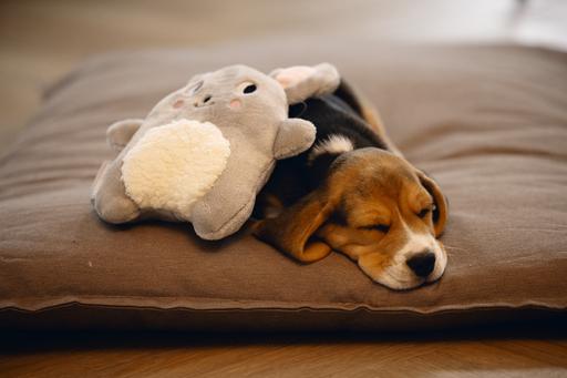 Actual product image Beeztees Puppy Cuddle Toys and Heartbeat Simulator