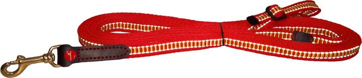 Actual product image Niggeloh TRAIL ULTRA leash yellow-red (Dog, Dog sport)