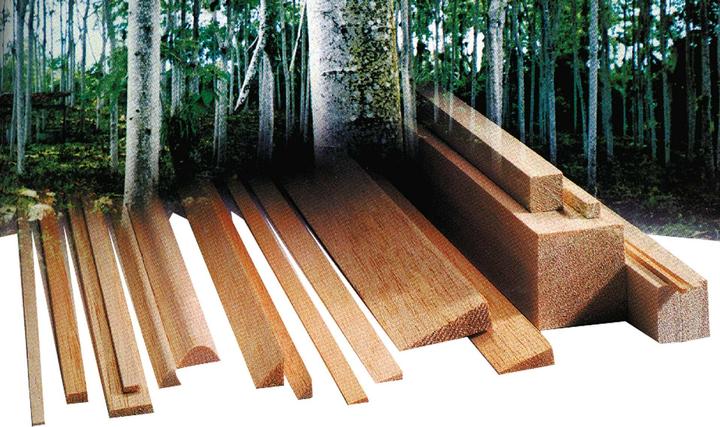 Actual product image Modellbau Lindinger Pine square moulding 2x6x1000mm