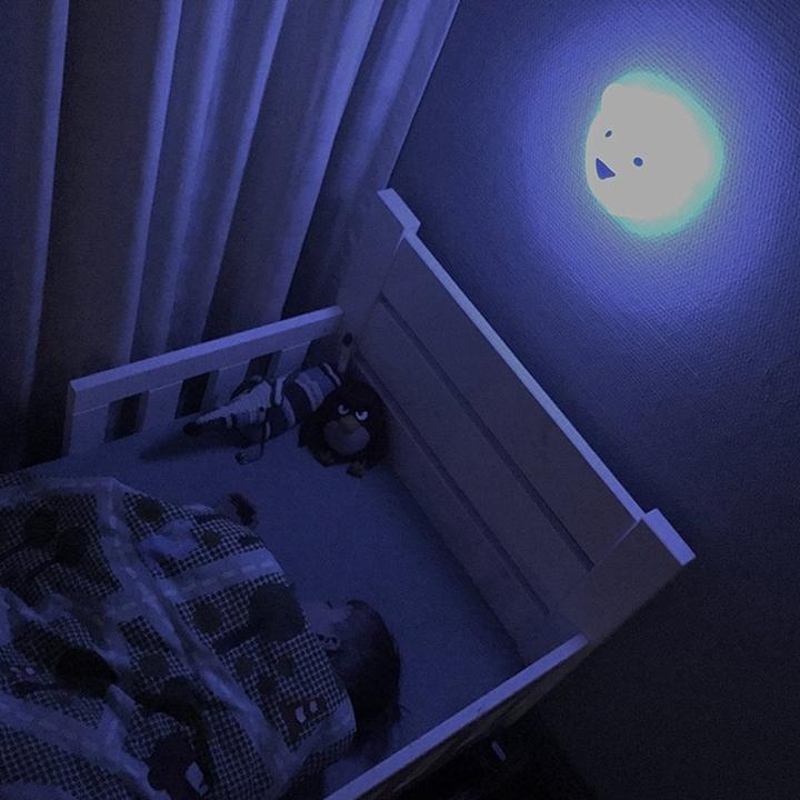 Actual product image Flow Amsterdam LED Björn