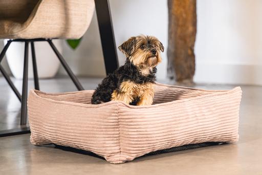 Image du produit Designed by Lotte Ribbed (Chien)