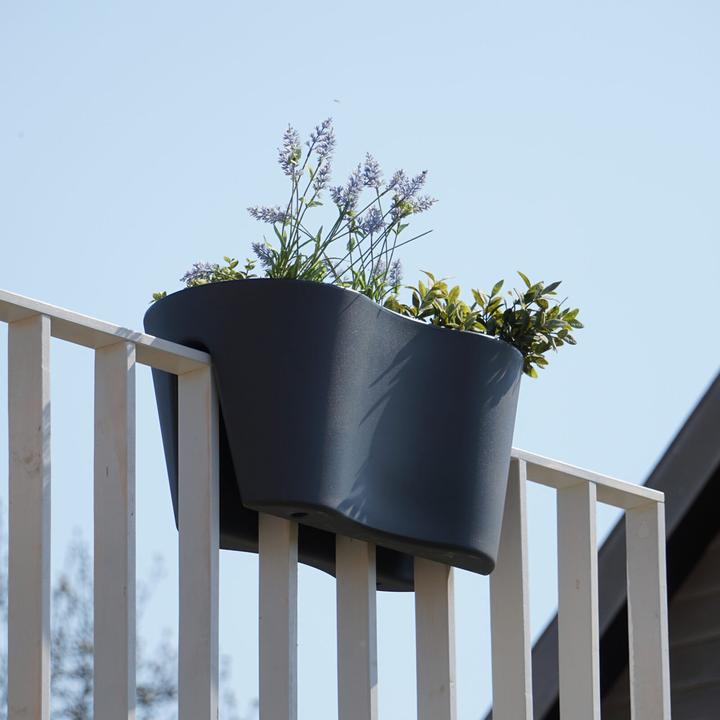 Immagine prodotto Rephorm Vaso da balcone Cuttings Duo 60 cm - Grafite (30 cm)