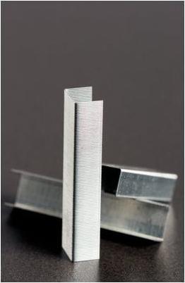 Immagine prodotto Rapid Standard (5000 x)