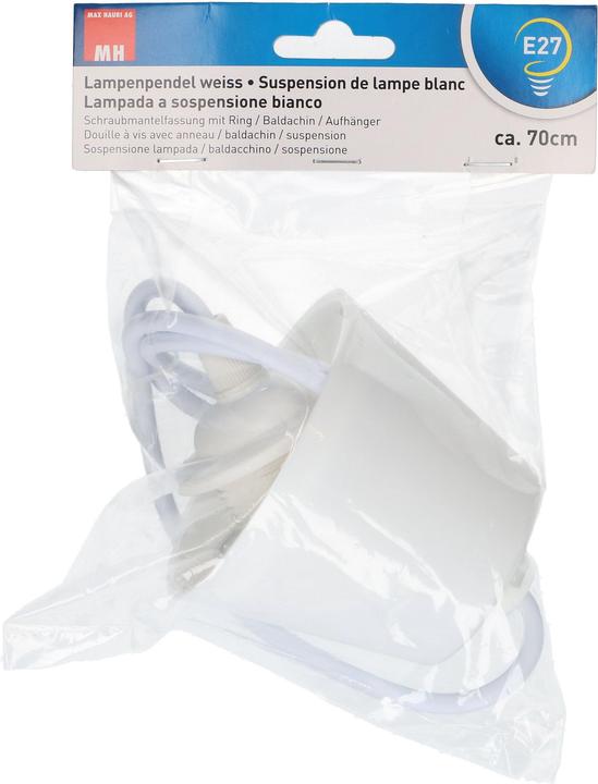 Produktbild Max Hauri Lampenpendel E27