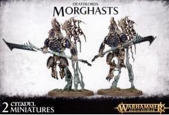 Productafbeelding Games Workshop Warhammer AoS - Deathlord Morghasts