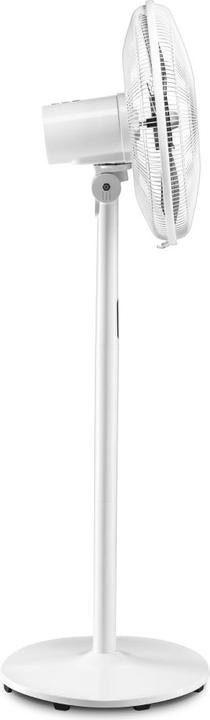 Actual product image Trotec Designer Pedestal Fan TVE 24 S (60 dB)