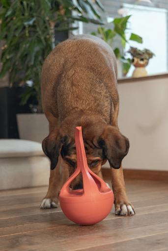 Productafbeelding Beeztees Rubber hondenspeelgoed Wiggle-X