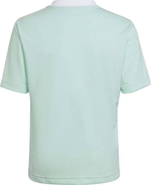 Image du produit adidas Maillot Entrada 22 (140)