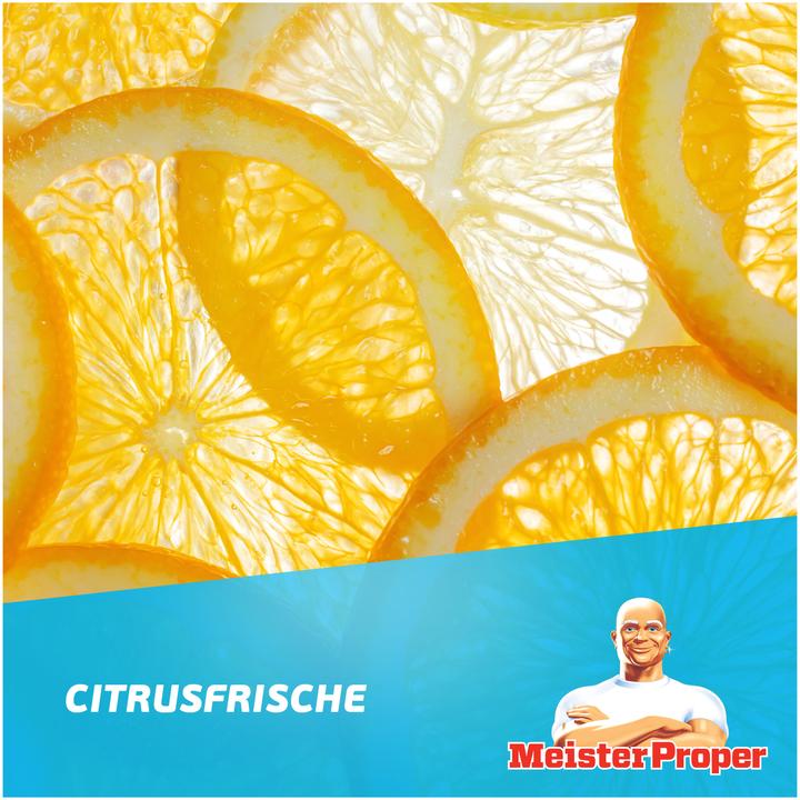 Produktbild Meister Proper Allzweck-Bodenreiniger