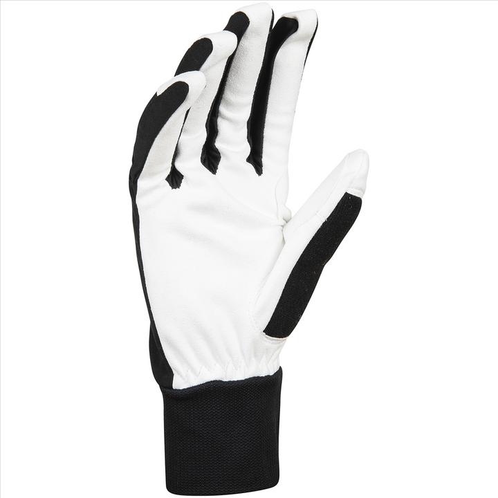 Produktbild Daehlie M Glove Race (11)