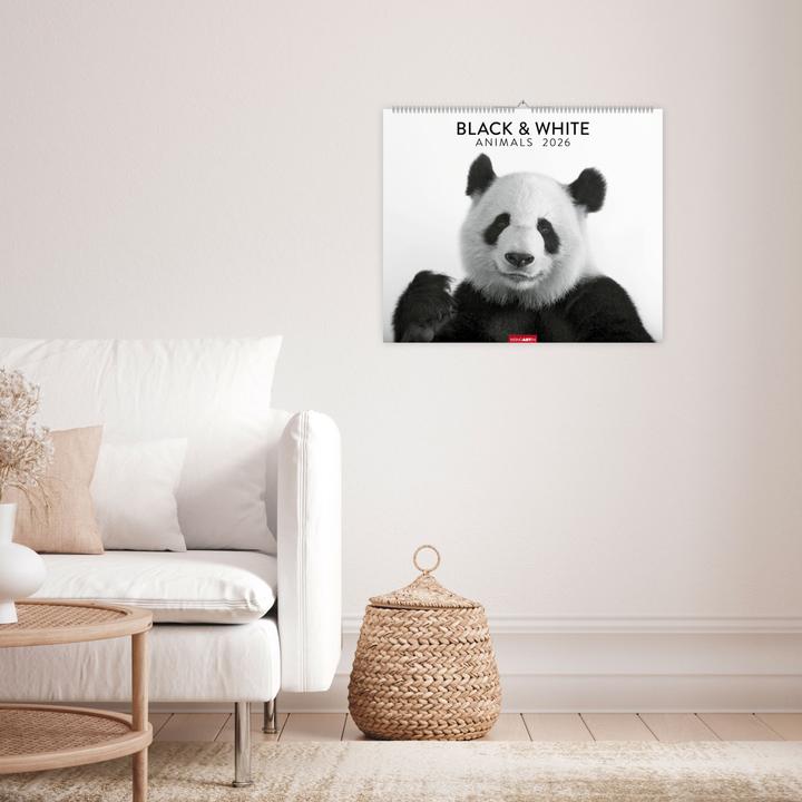 Actual product image Black & White Animals 2026 (55 x 46 cm, Hardcover, German)