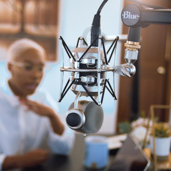 Actual product image Blue Compass Boom Arm