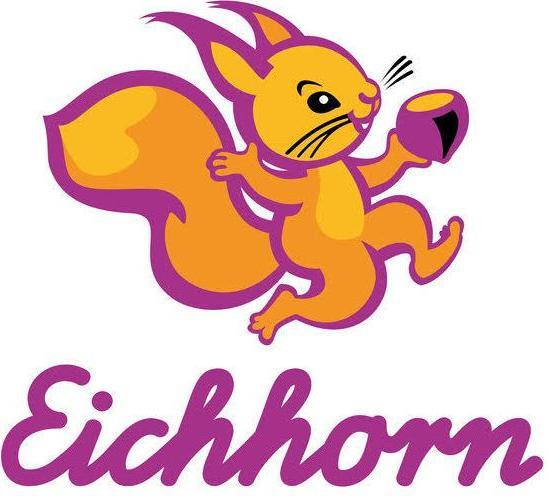 Actual product image Eichhorn Constructor, Tuning Set