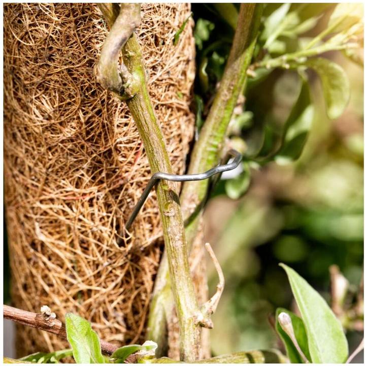 Actual product image Windhager Plant stick coconut (110 cm, 4.50 cm)