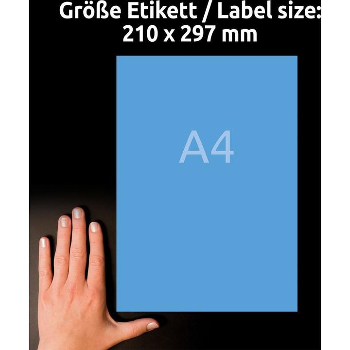 Produktbild Avery Organisations-Etiketten