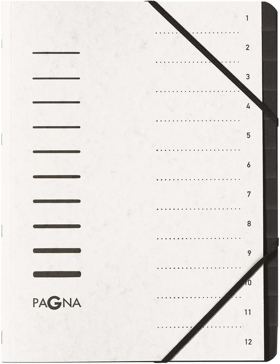 Actual product image Pagna OFFICE - Folders (A4, 1 x)