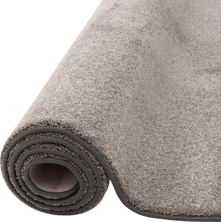 Produktbild Snapstyle Hochflor Luxus Velours Teppich Touch (100 x 300 cm)