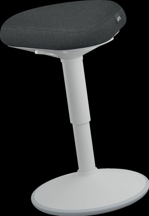 Image du produit Leitz Ergo Active