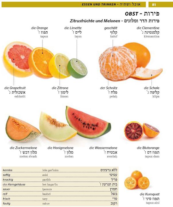 Produktbild Bildwörterbuch Hebräisch (Deutsch, 2022)