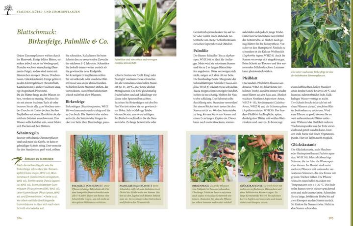 Produktbild Das grosse Praxishandbuch Pflanzenschnitt (Deutsch, Hansjörg Haas, 2023)