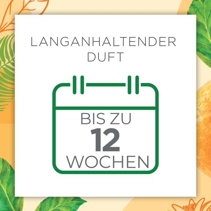 Produktbild Air Wick Orangenblüte und Bernstein