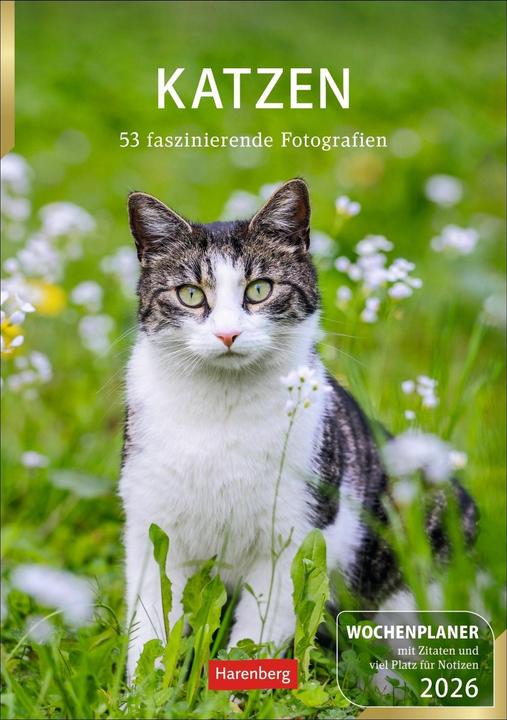 Actual product image Harenberg Katzen Wochenplaner 2026 - 53 faszinierende Fotografien (Hardcover, German)