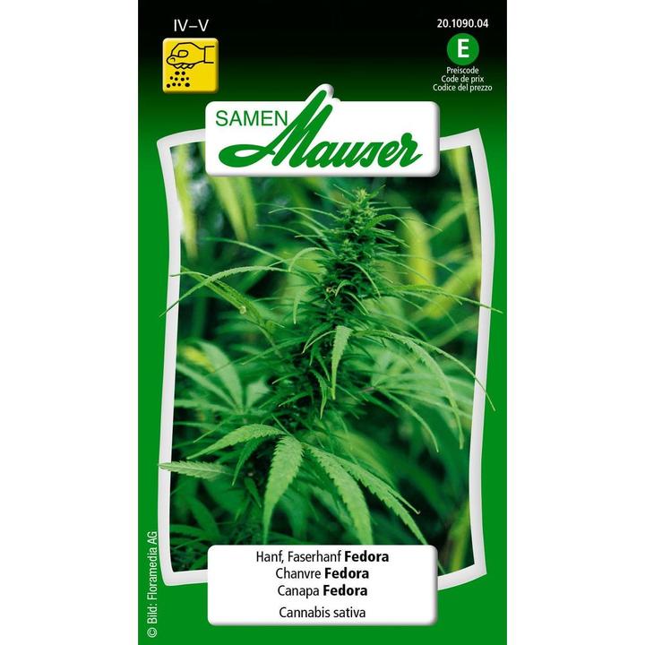 Produktbild Samen Mauser Hanf, Faserhanf Fedora (Pflanzensamen)